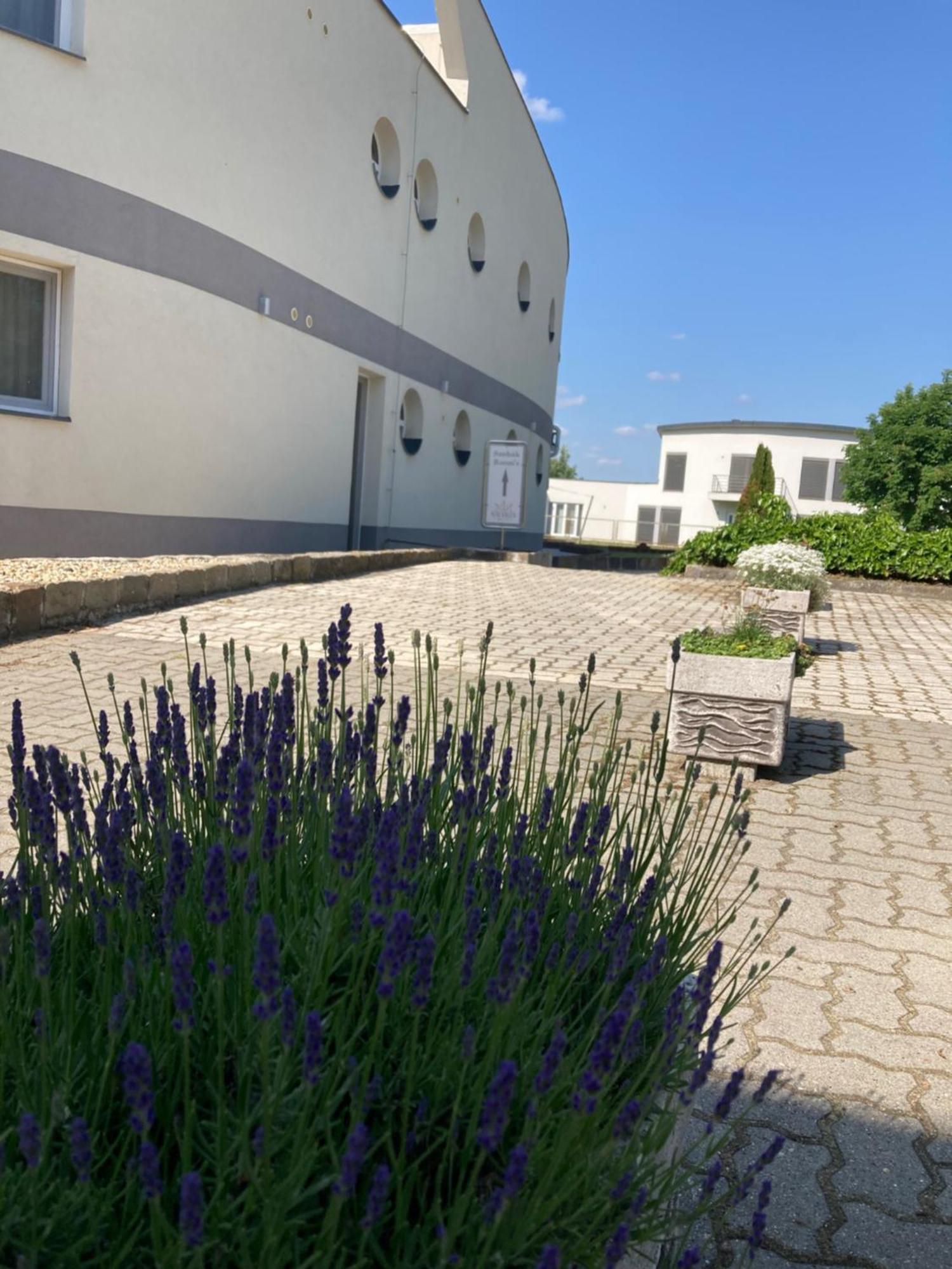 Hotel Nautilus Étterem és Panzió Dabas Exterior foto